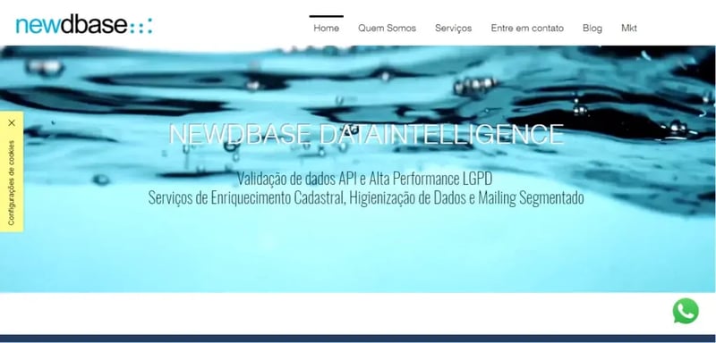 ferramenta de prospecção gratuita Newdbase